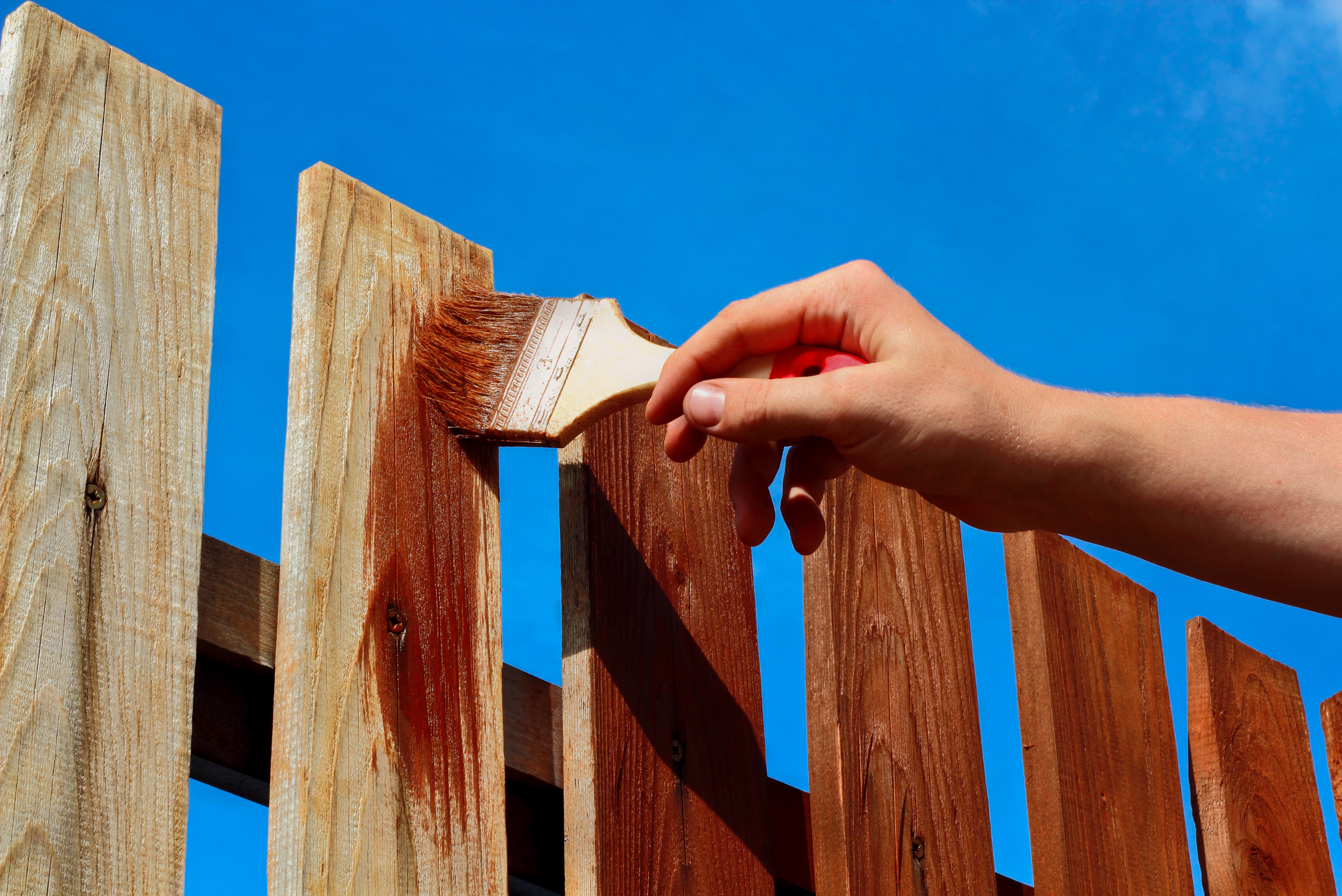 Painting a wooden fence with brush.