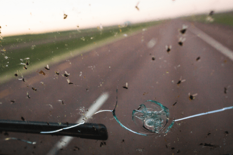 Windshield with cracks and bug splatter.