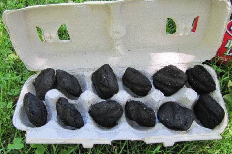 Coals lined up in an egg carton.