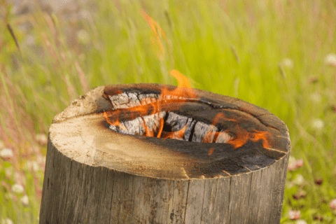 Tree stub burning.