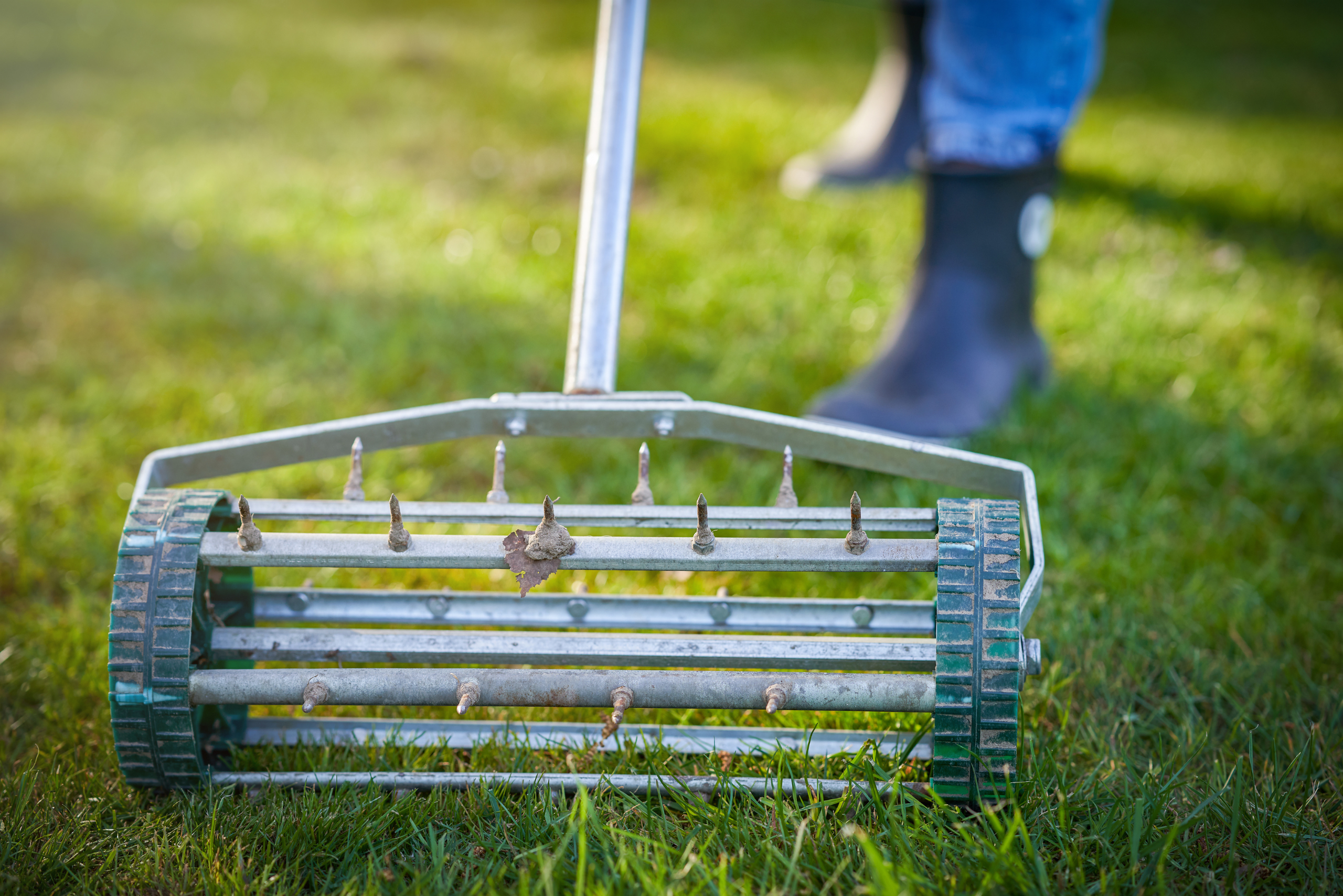 Aerating lawn with tool.