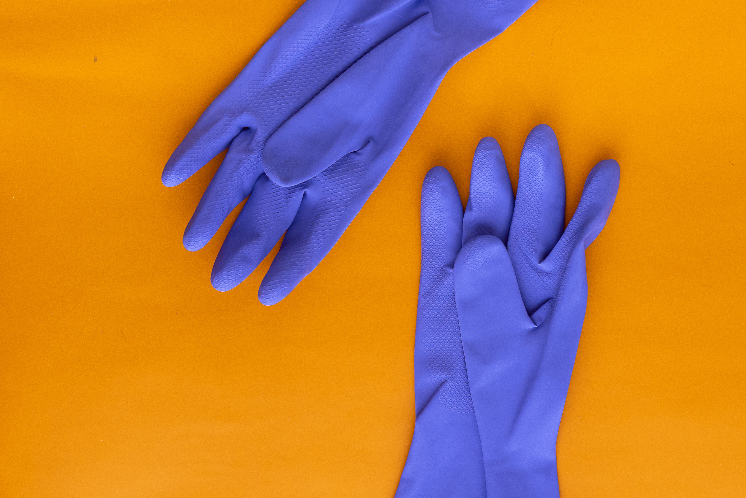 Pair of blue rubber gloves on orange background.