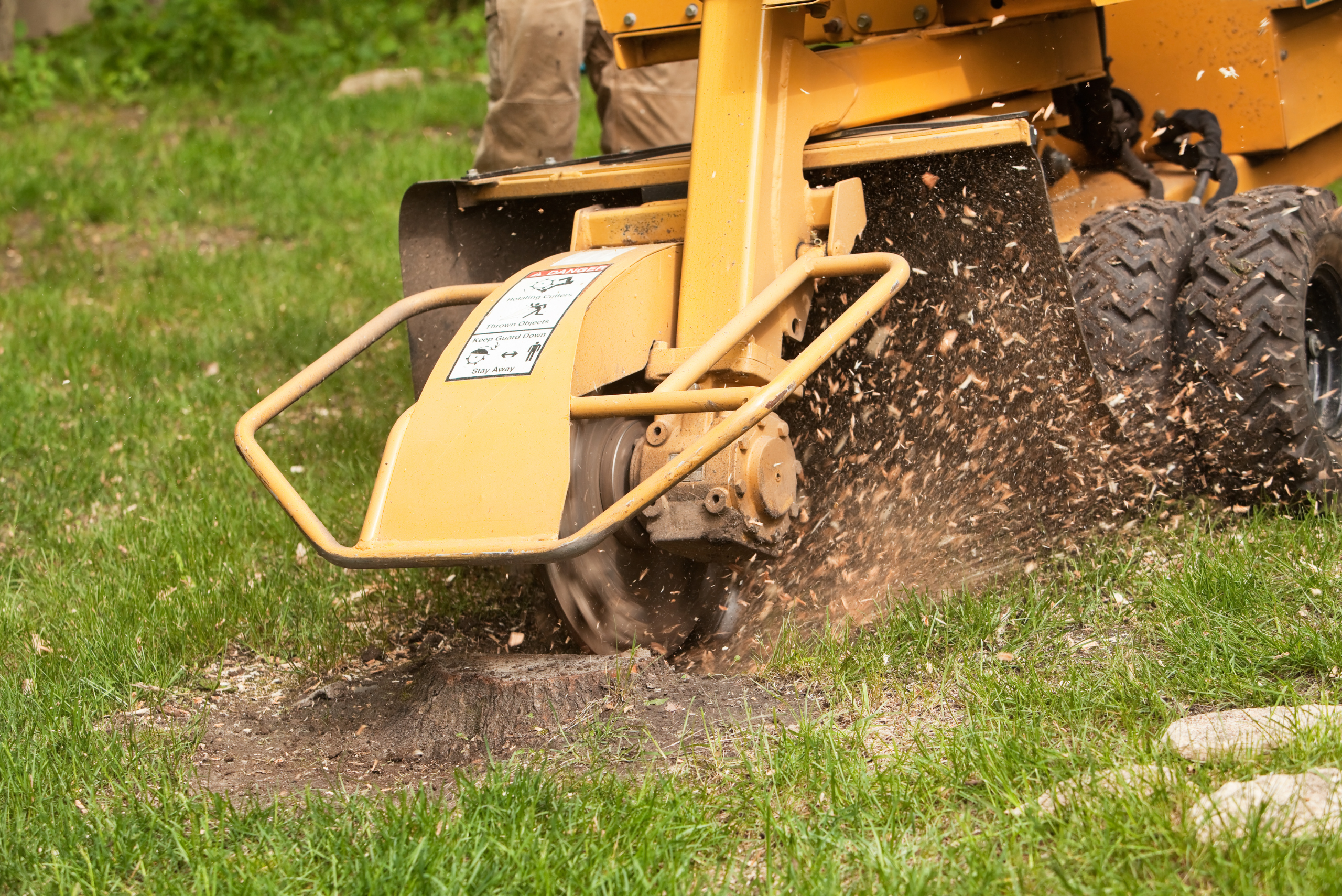 Yellow tree stub grinding machine.