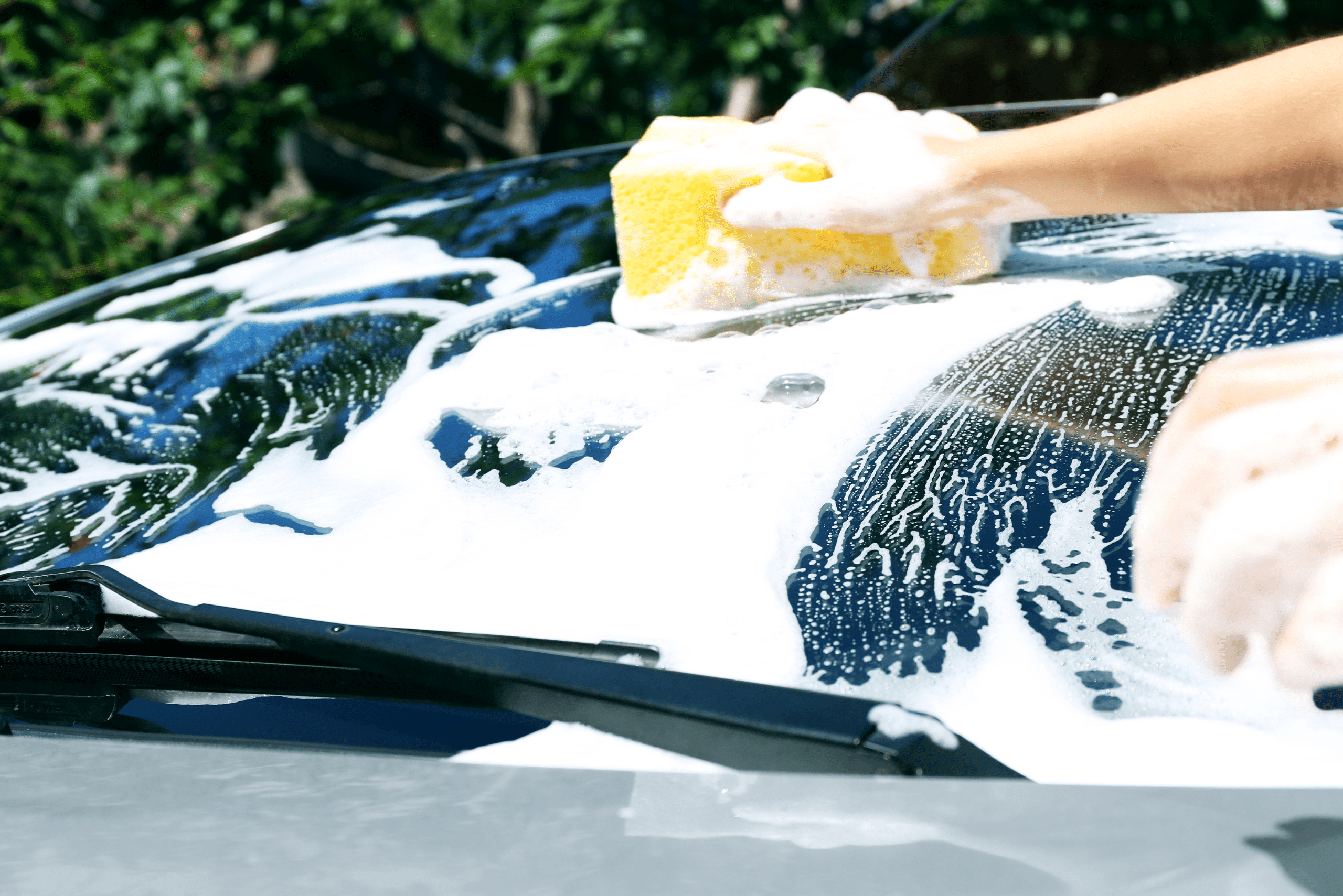 Sponge and soap on car windshield.