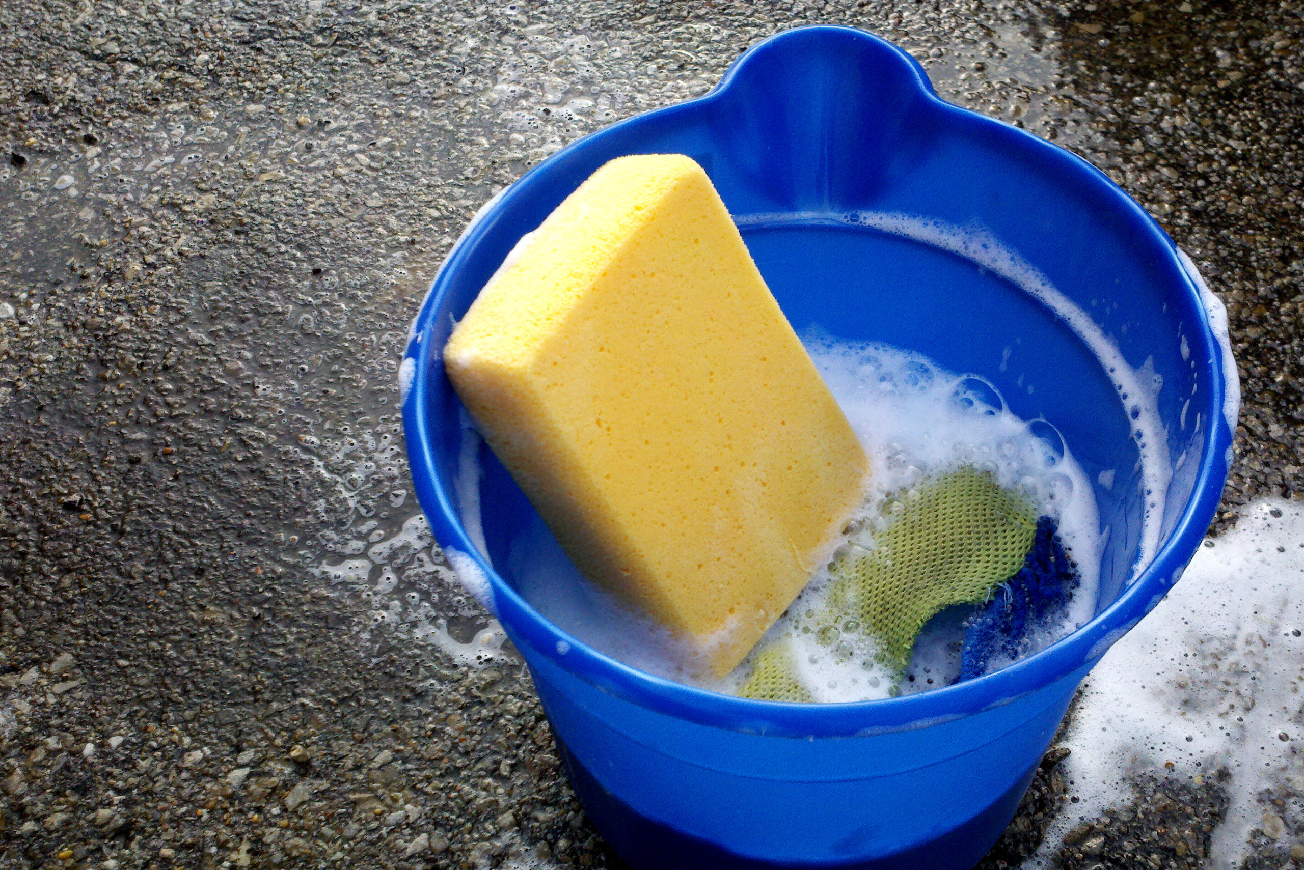 Blue bucket of soapy water and sponge.