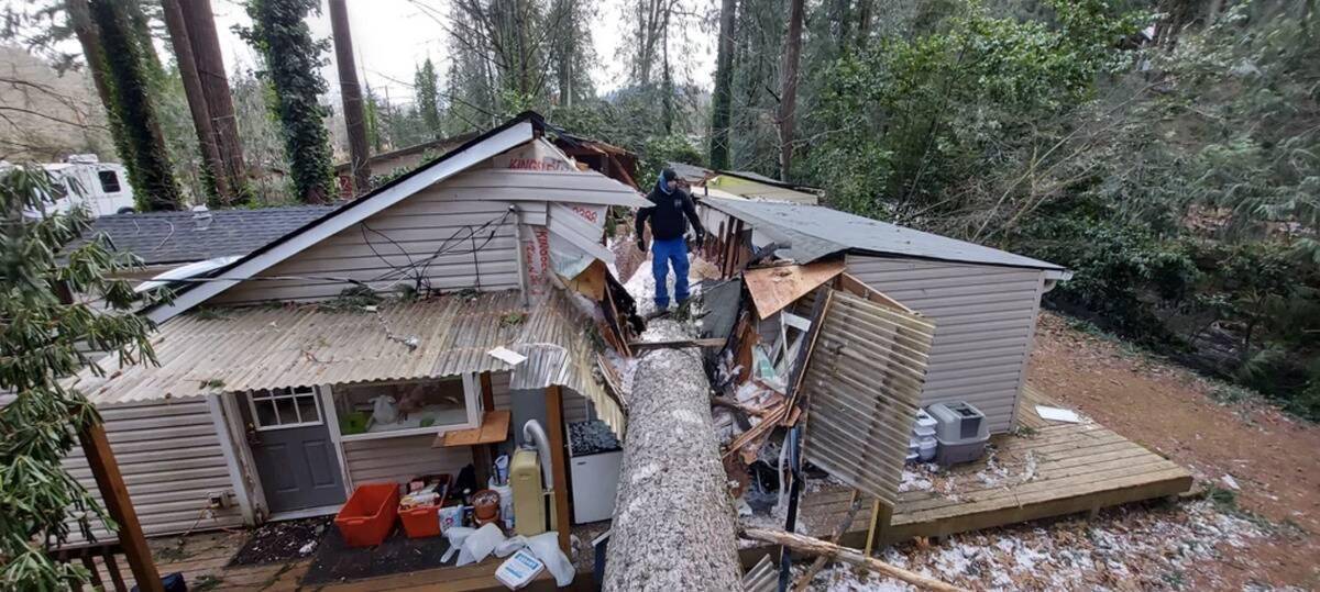 Man standing on tree that fell on home.