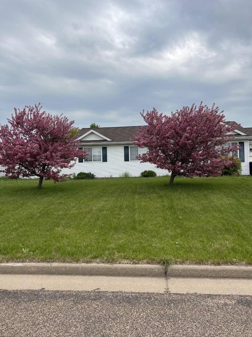 Tree leaning in front of a house.