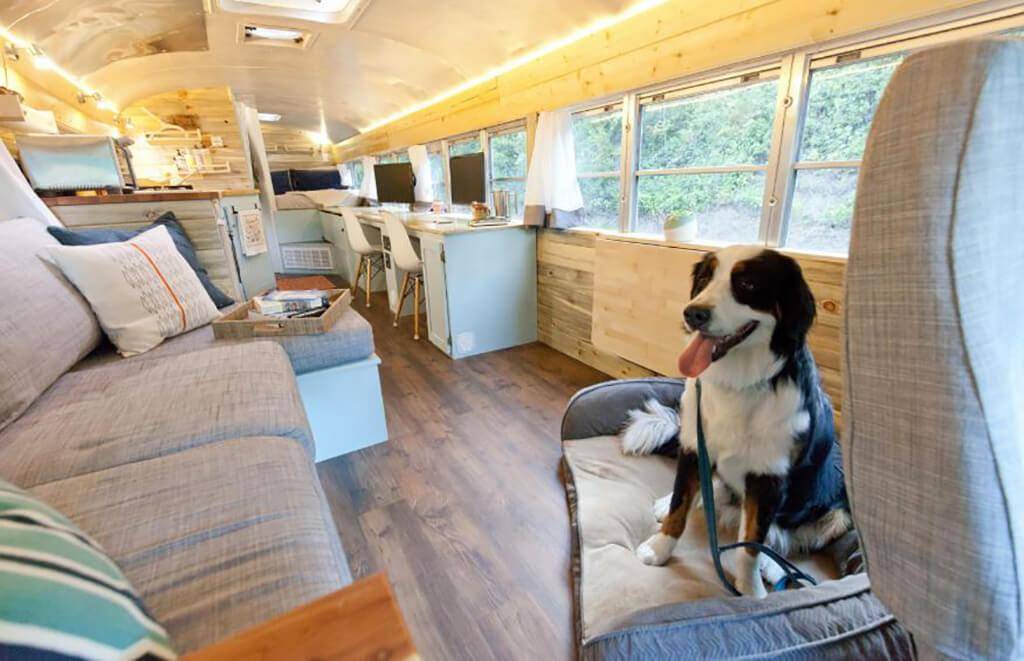 Dog sitting on its bed.