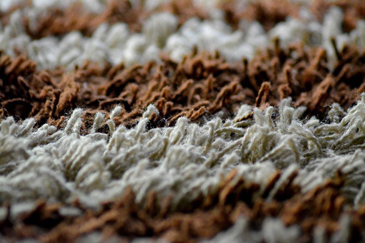 close up of carpet fibers.