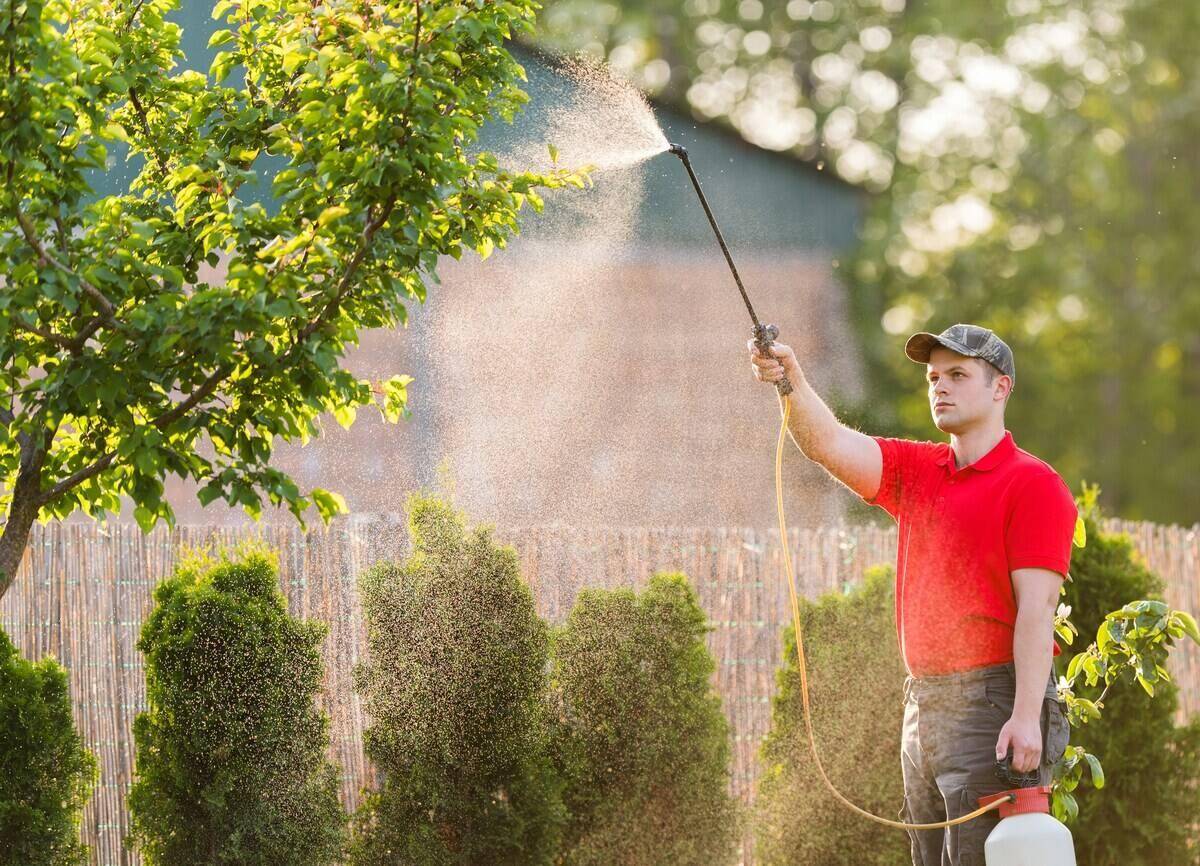 Man wearing a red shirt spraying the grass with chemicals.