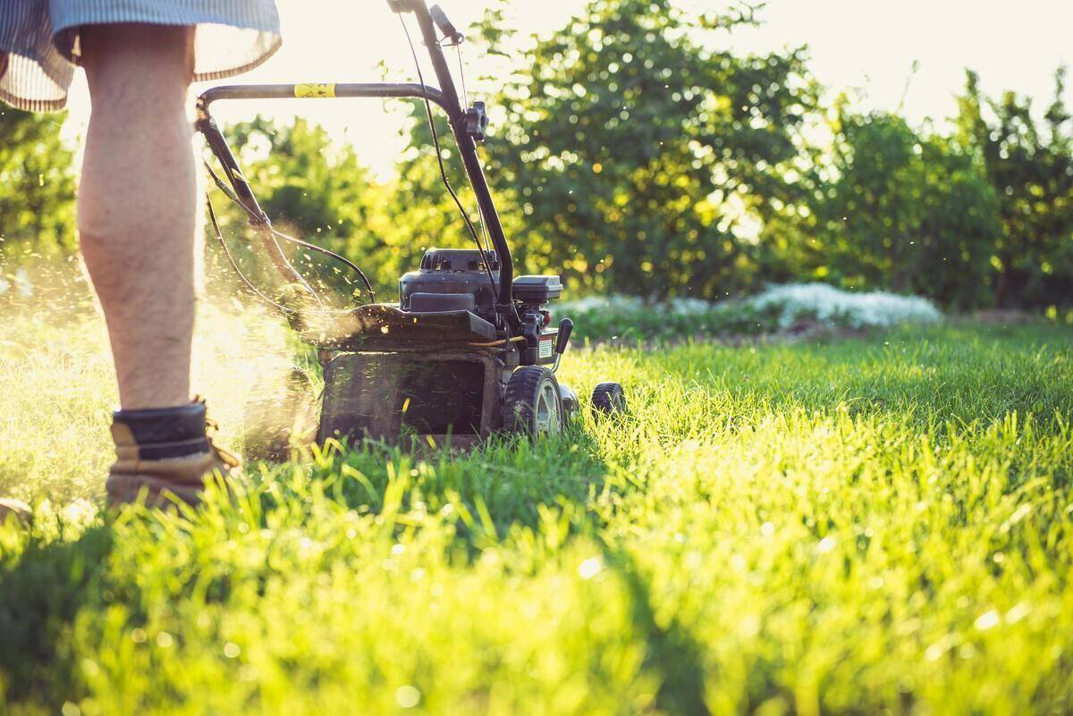 Person mowing grass.