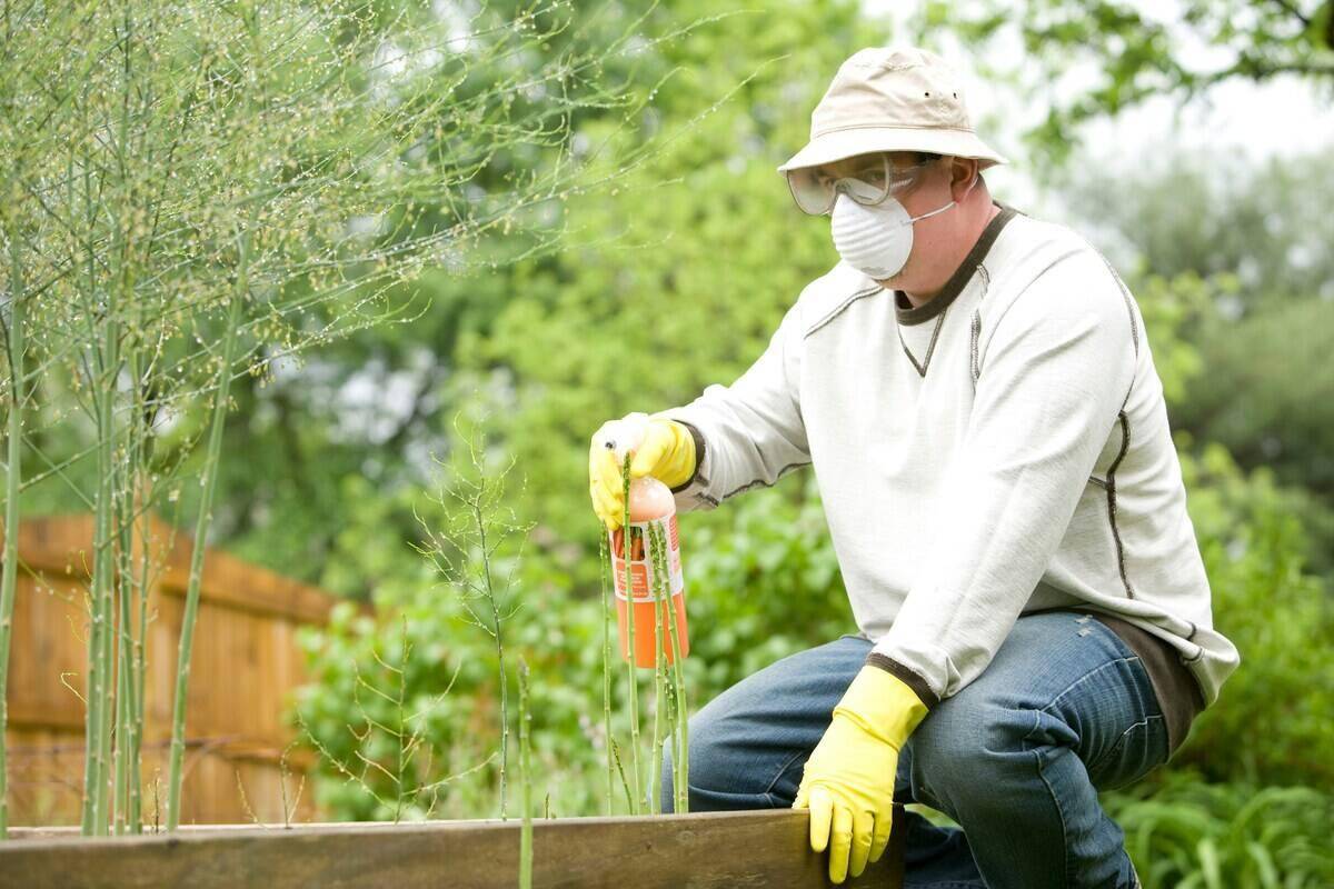 Man fertilizing grass.