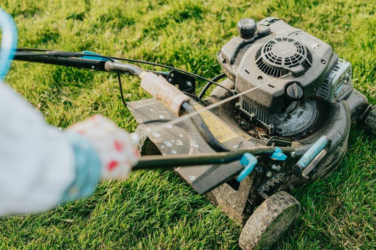 Lawn mower on top of grass.