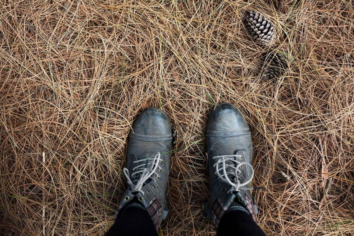 Layer of thatch on the ground.