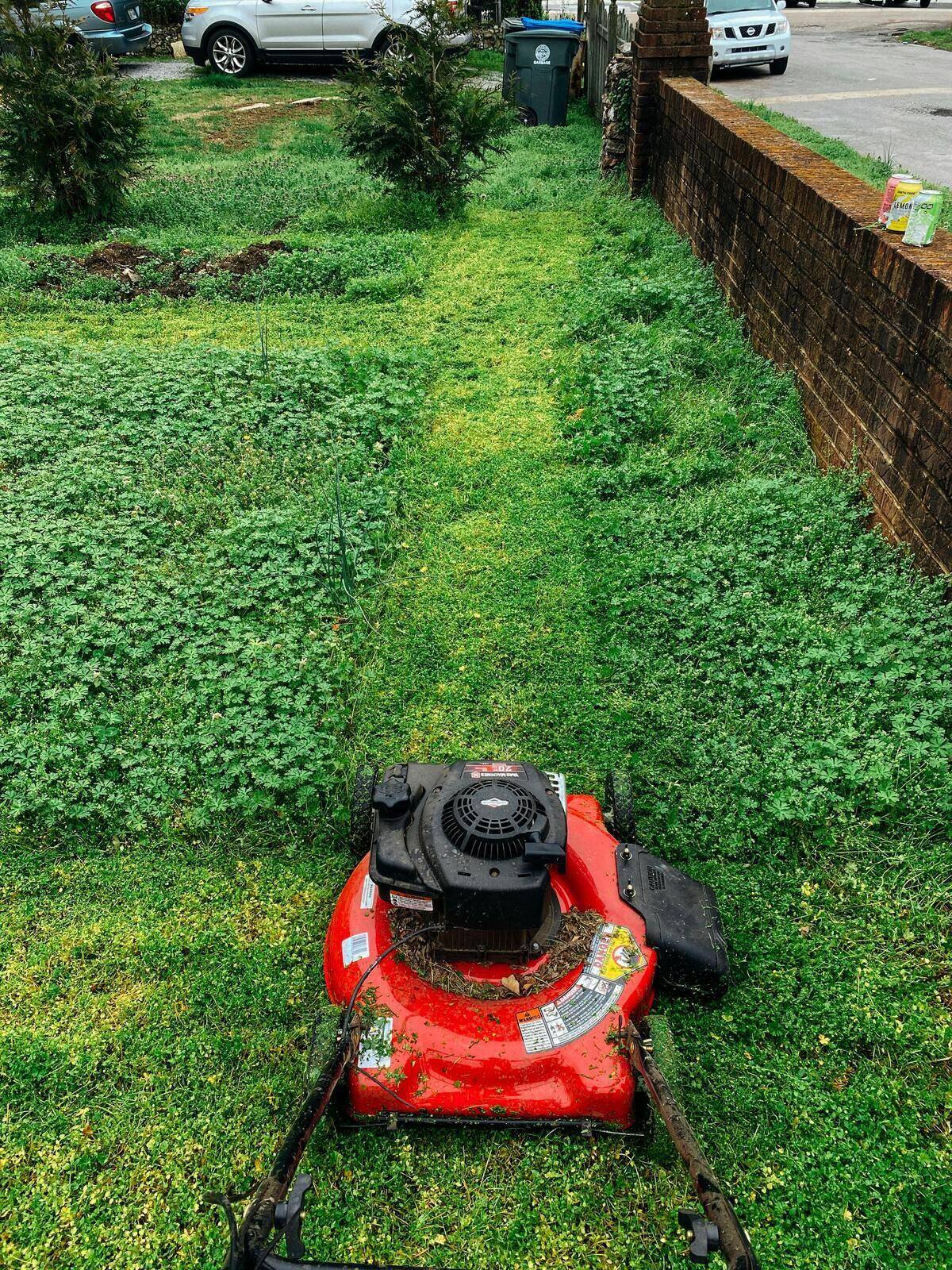 Red lawn mower with mowed grass.