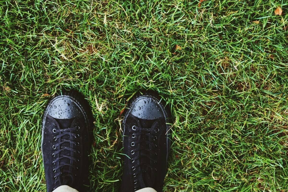 Shoes on top of wet grass.