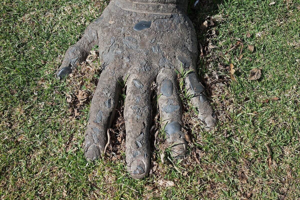 Hand wearing gloves touching grass.