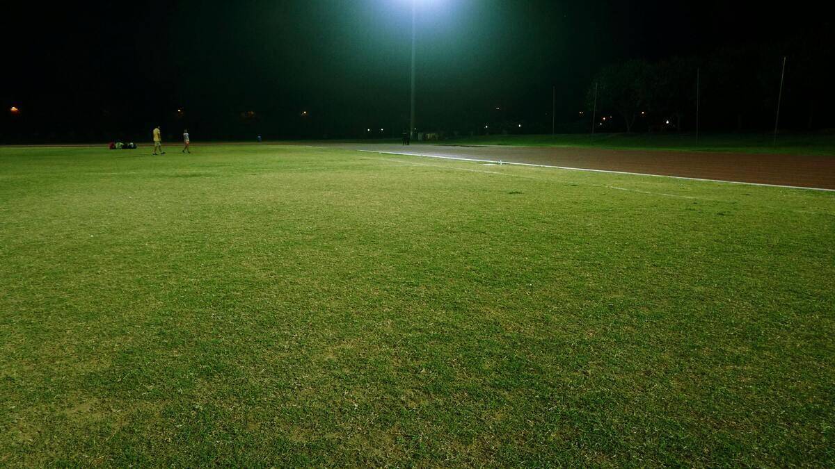 Grass at night.