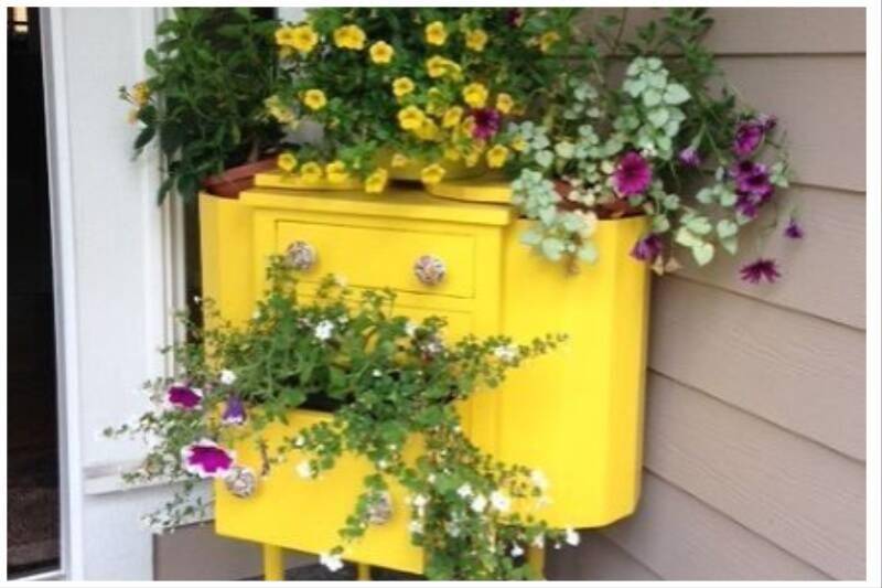 Yellow dresser repurposed for plants.