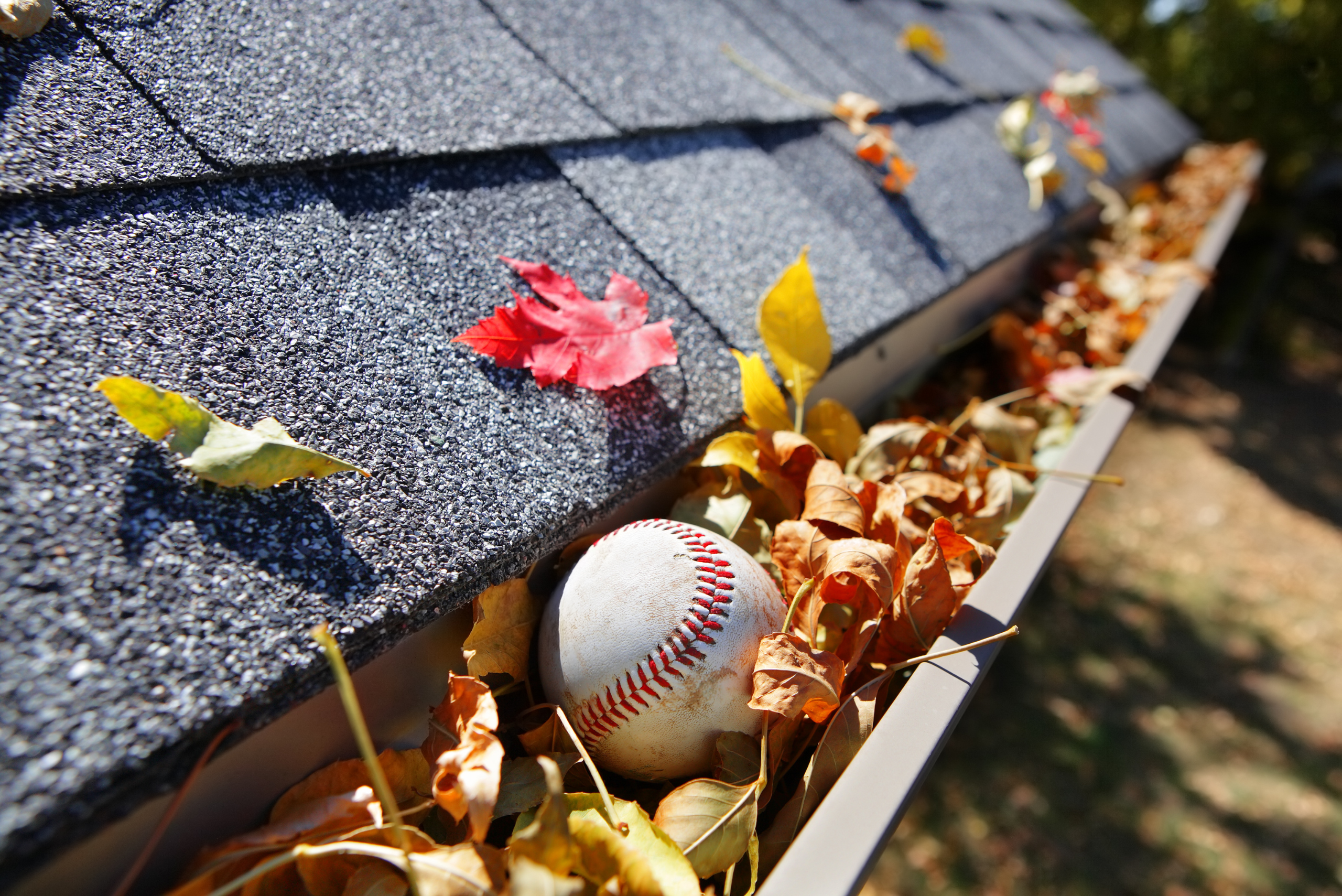 Baseball and leaves in gutter of a house.