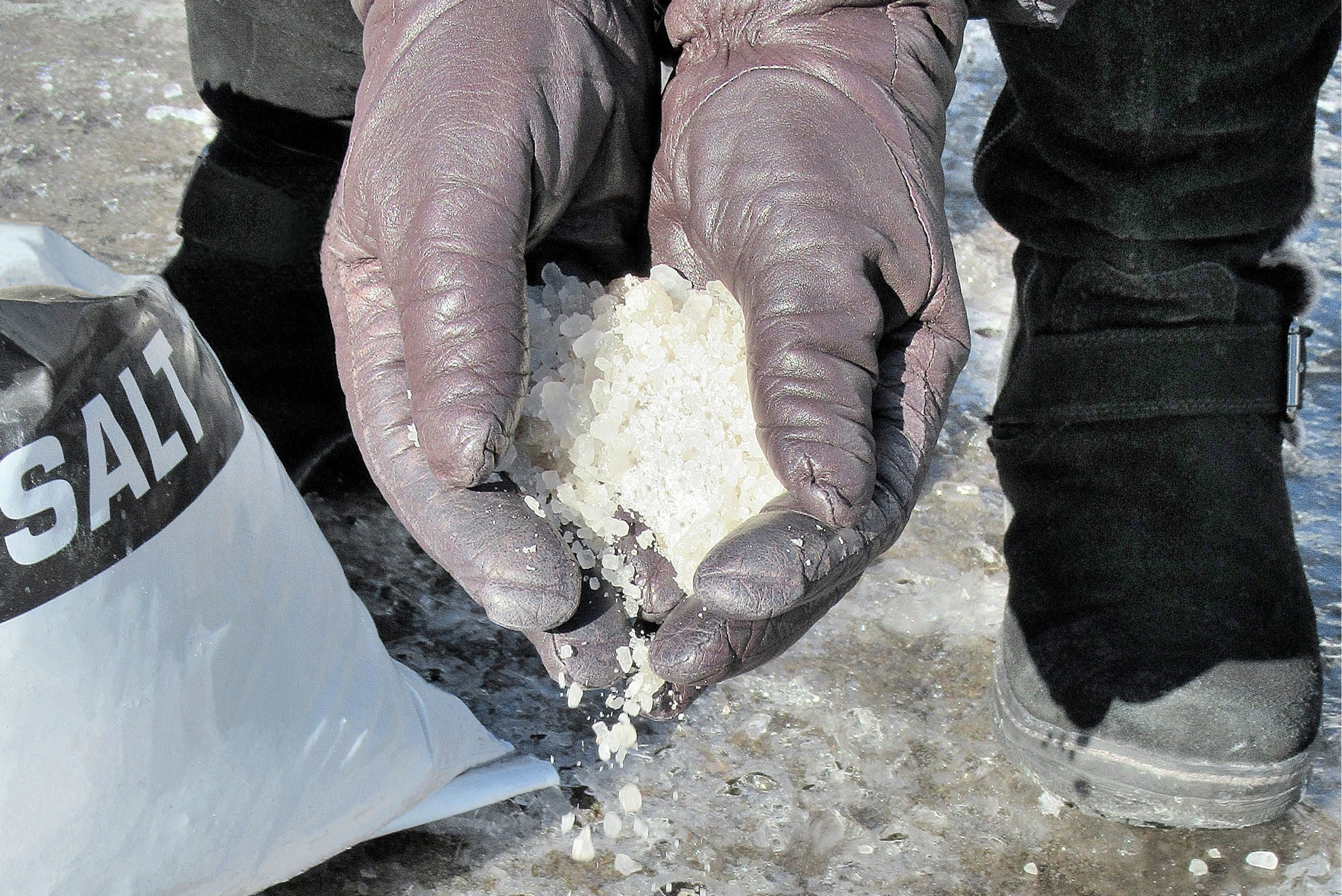 Closeup of a person's hands wearing gloves and holding salt.