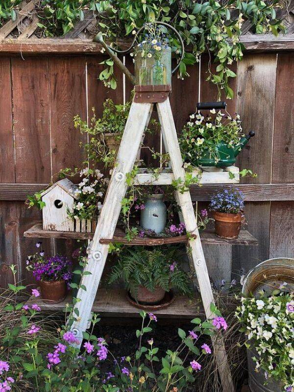 Stepped ladder garden.