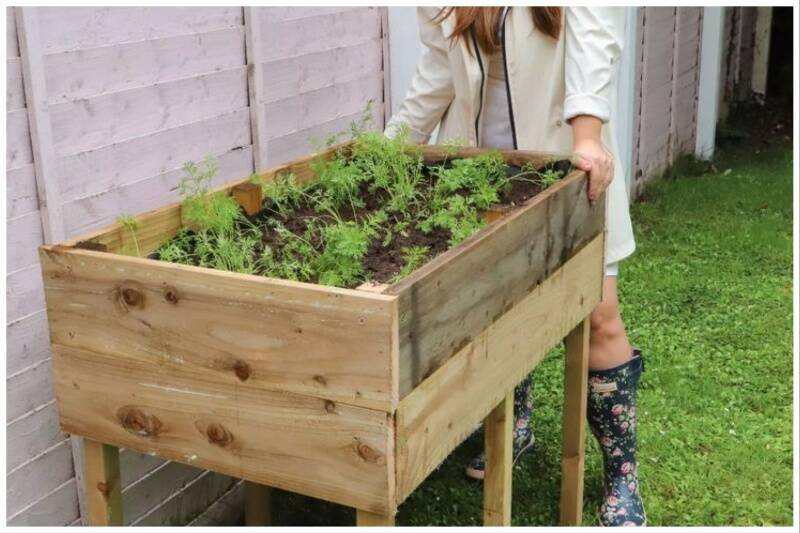 Planter box with plants inside of it.