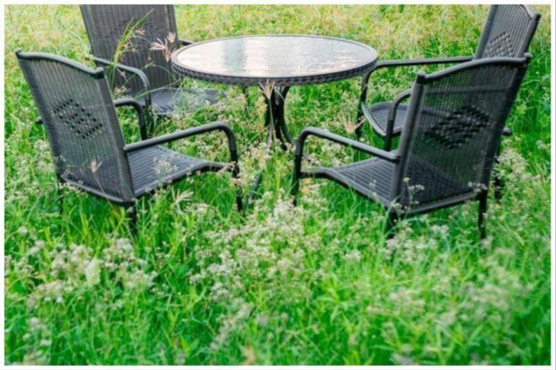 Tall grass around furniture.