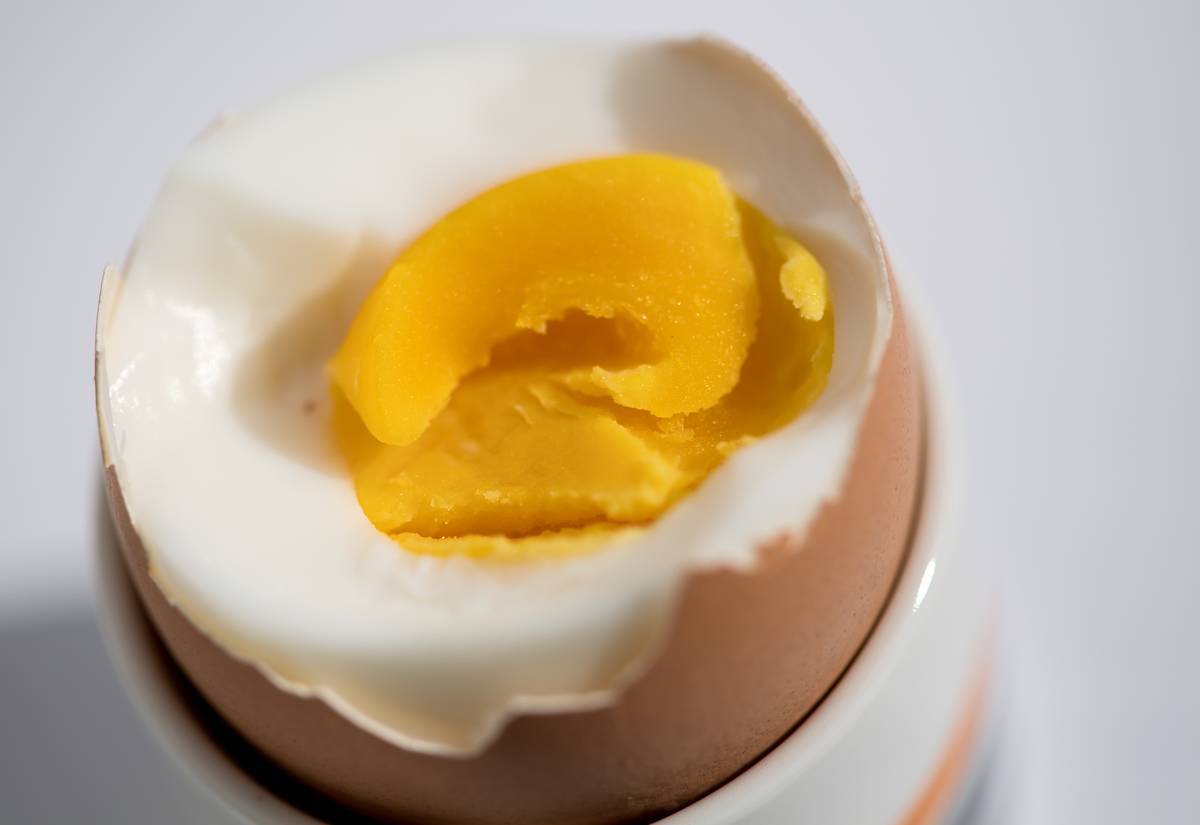 Hard boiled egg