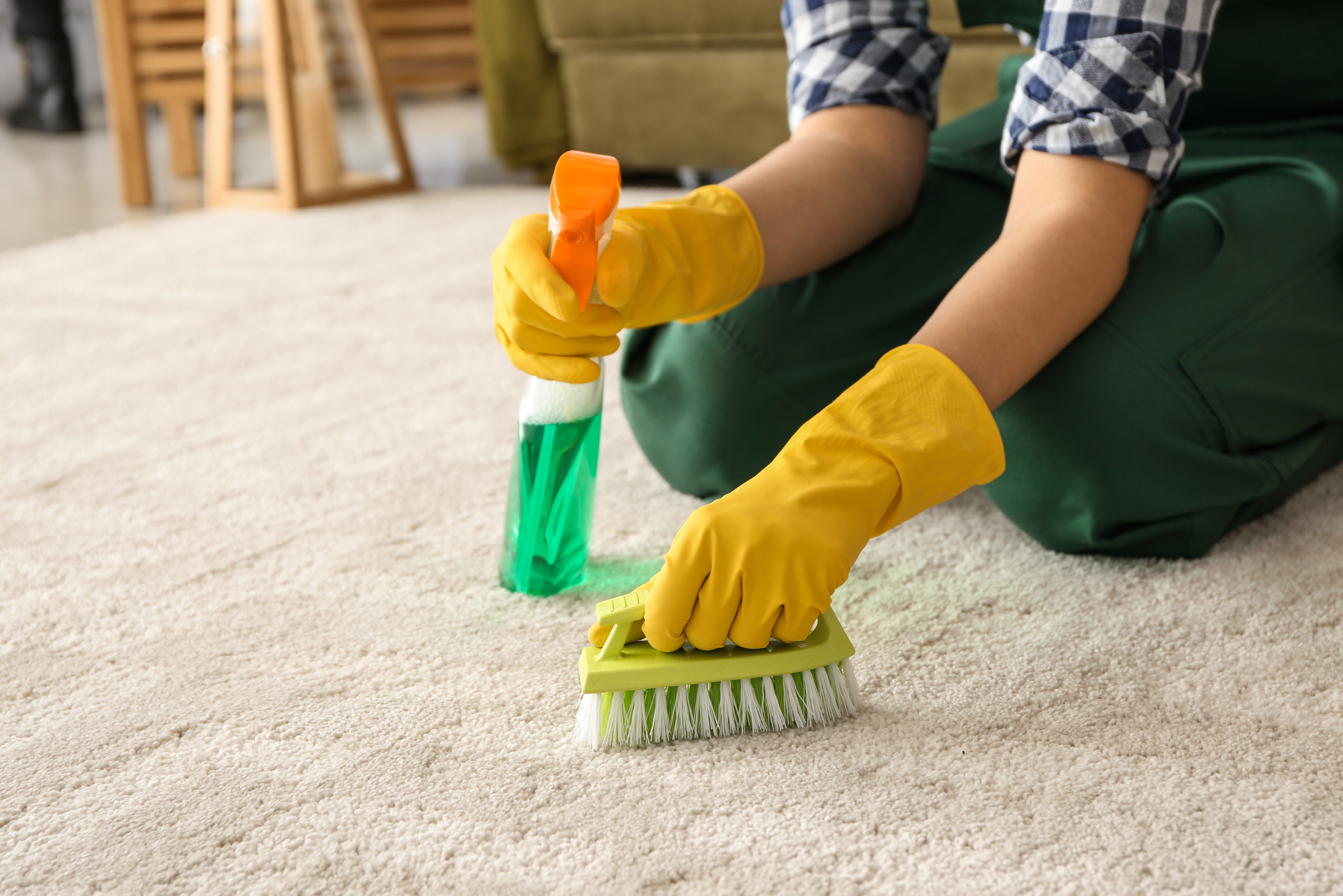 Cleaning carpet.