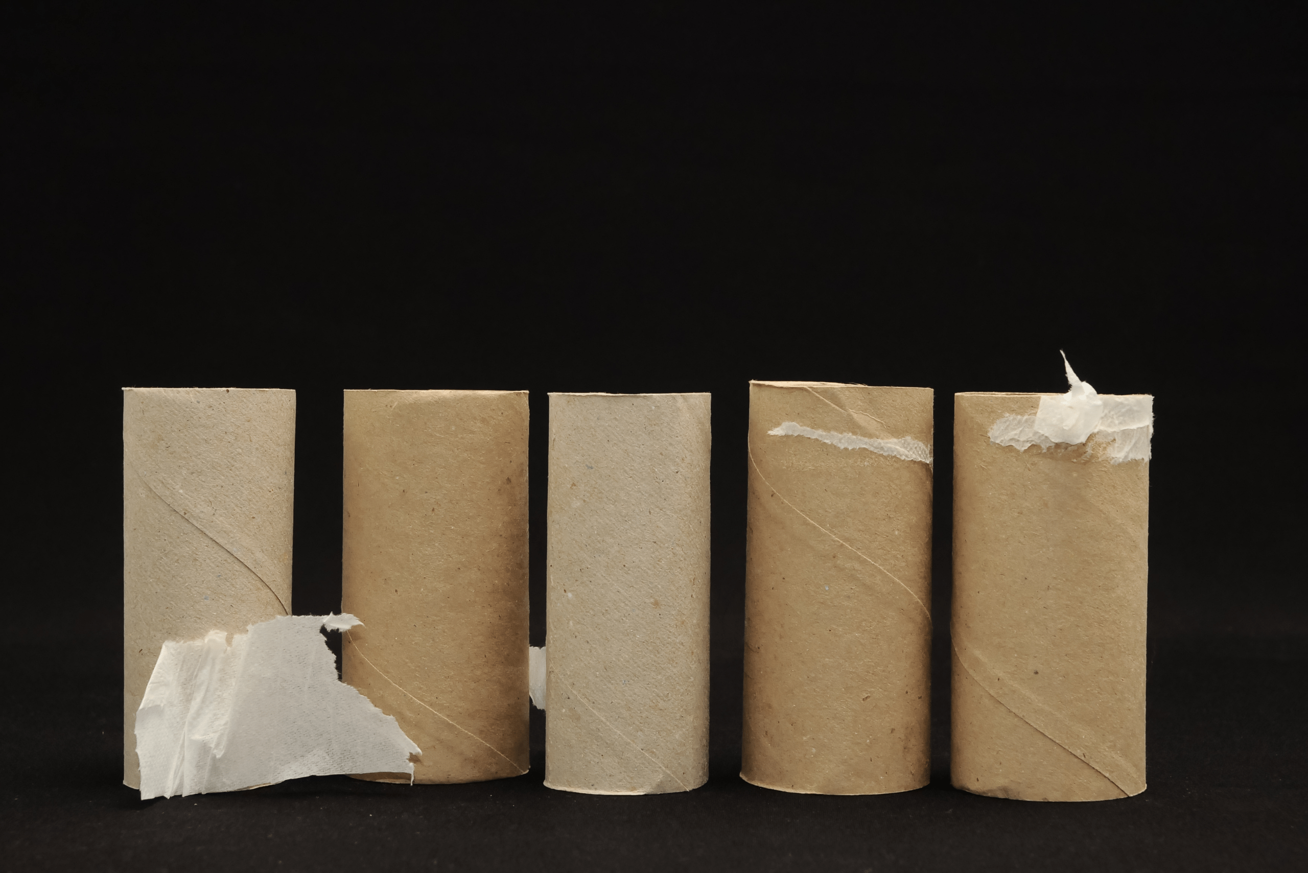 Empty toilet paper rolls