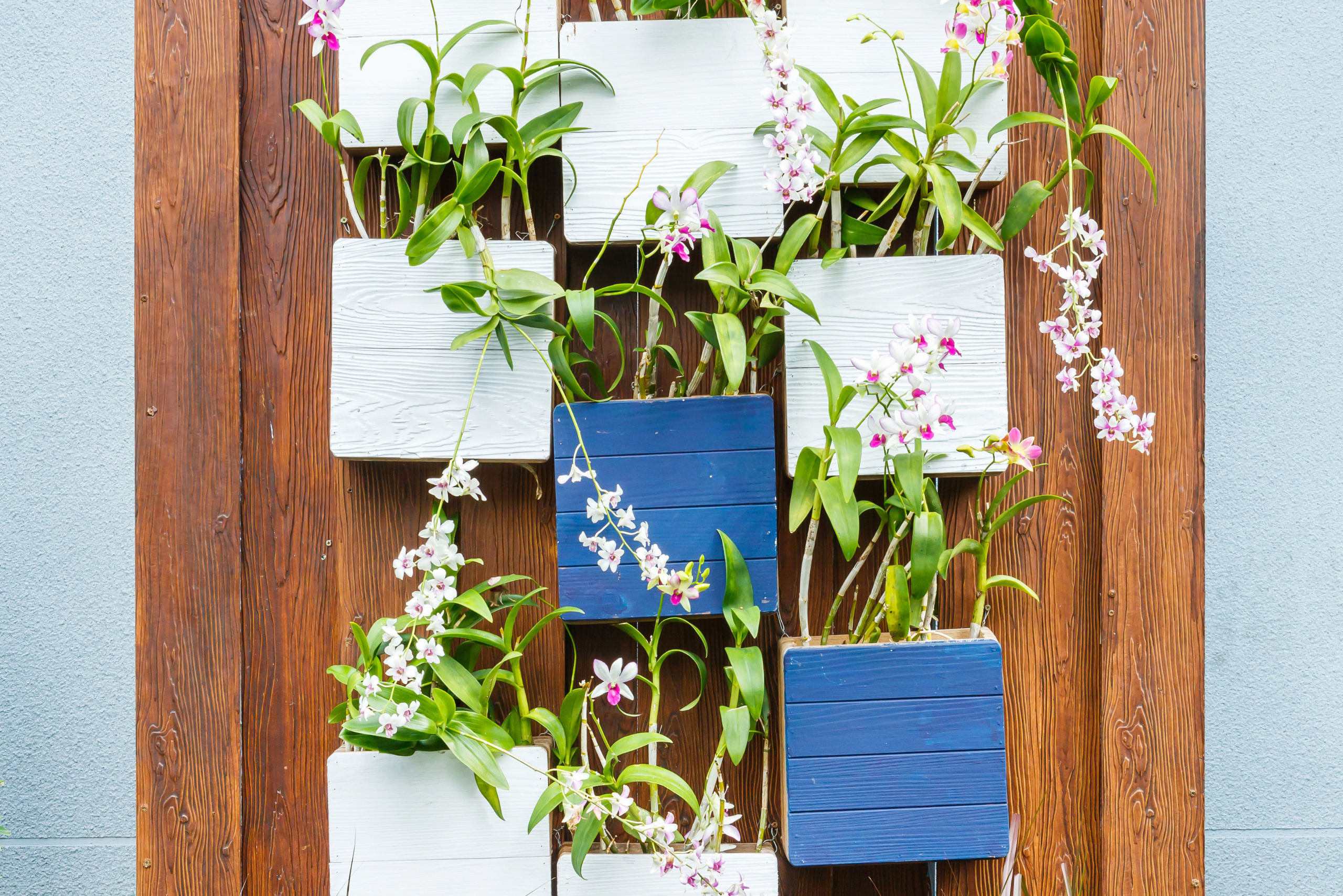 Vertical garden made of scrap wood.