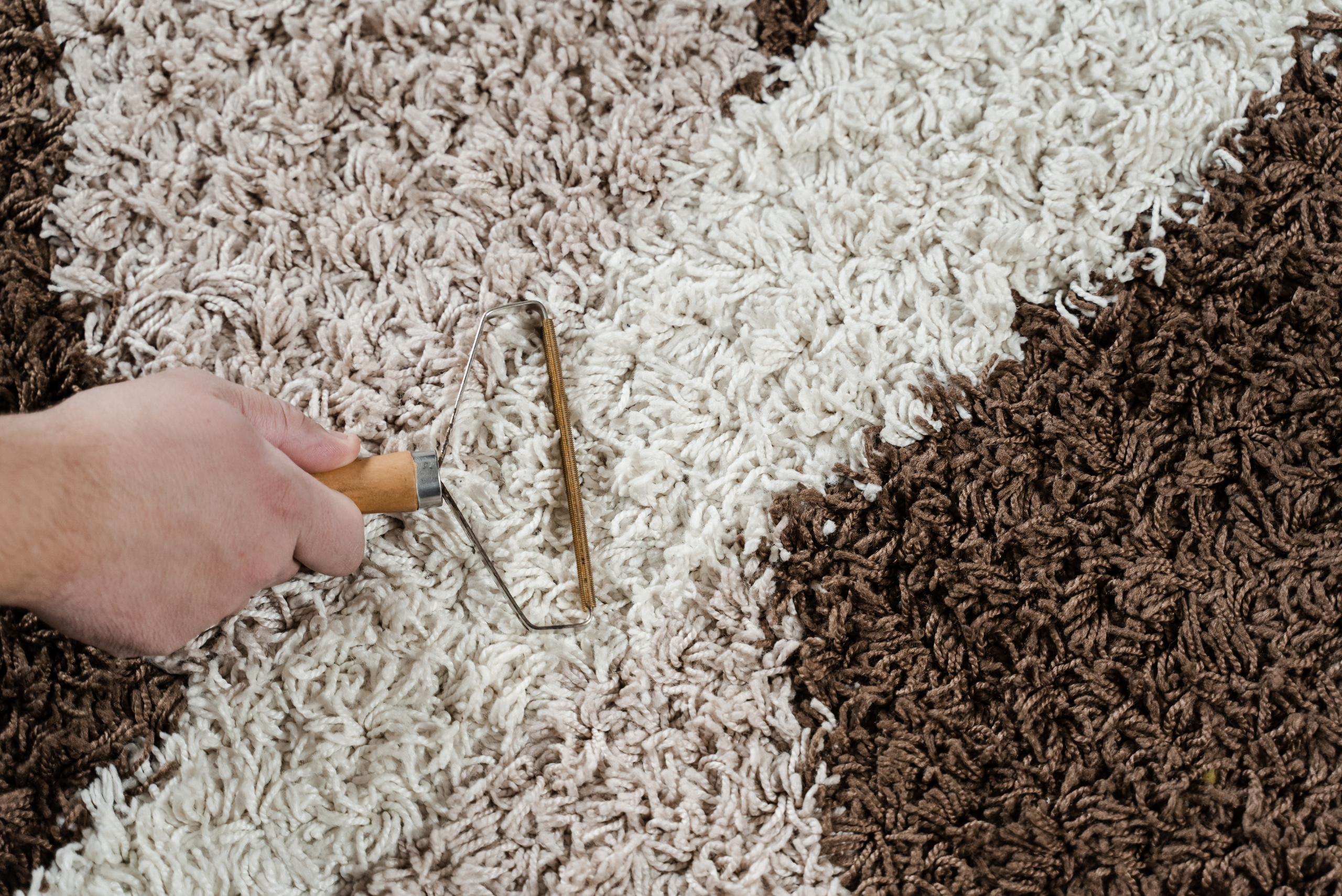 Brushing carpet fibers.