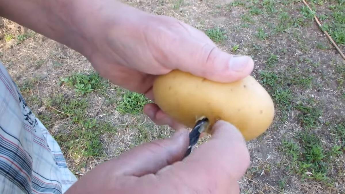 Drilling through a potato.