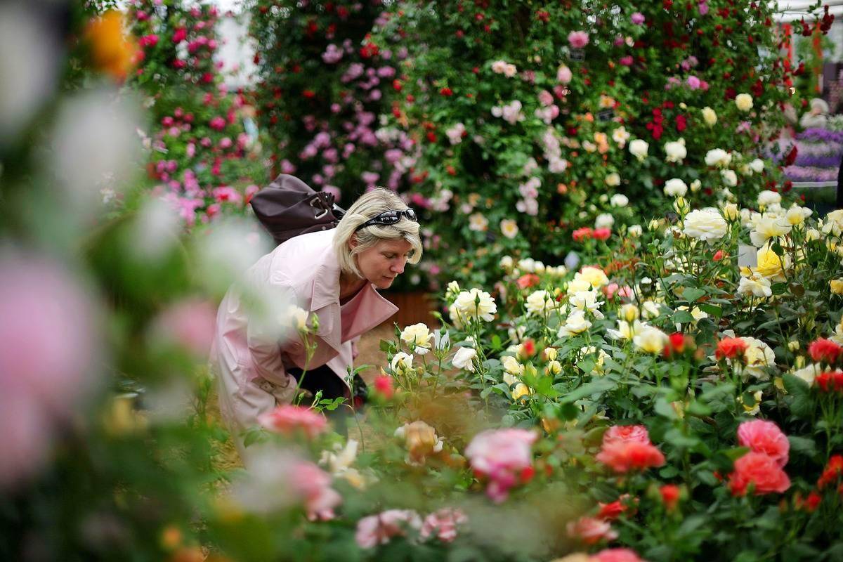 Woman in a garden.