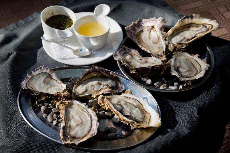 Oysters on a serving tray.