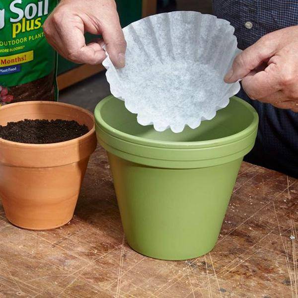 Using coffee filter in planter.