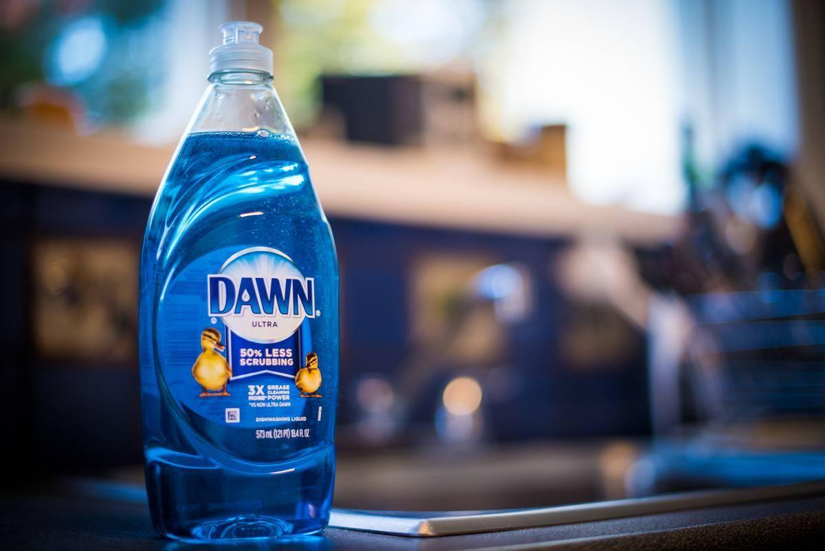 Dawn dish soap.