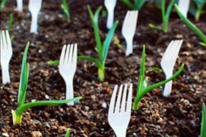 Plastic forks in soil.