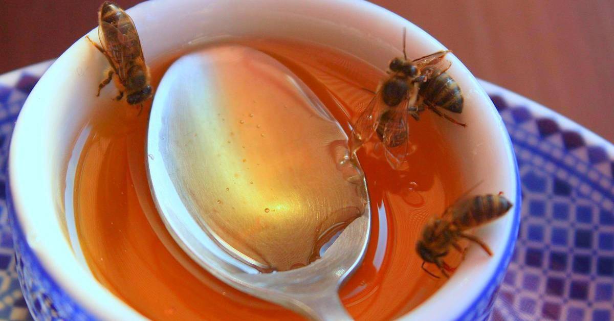 Spoon in honey with bees.