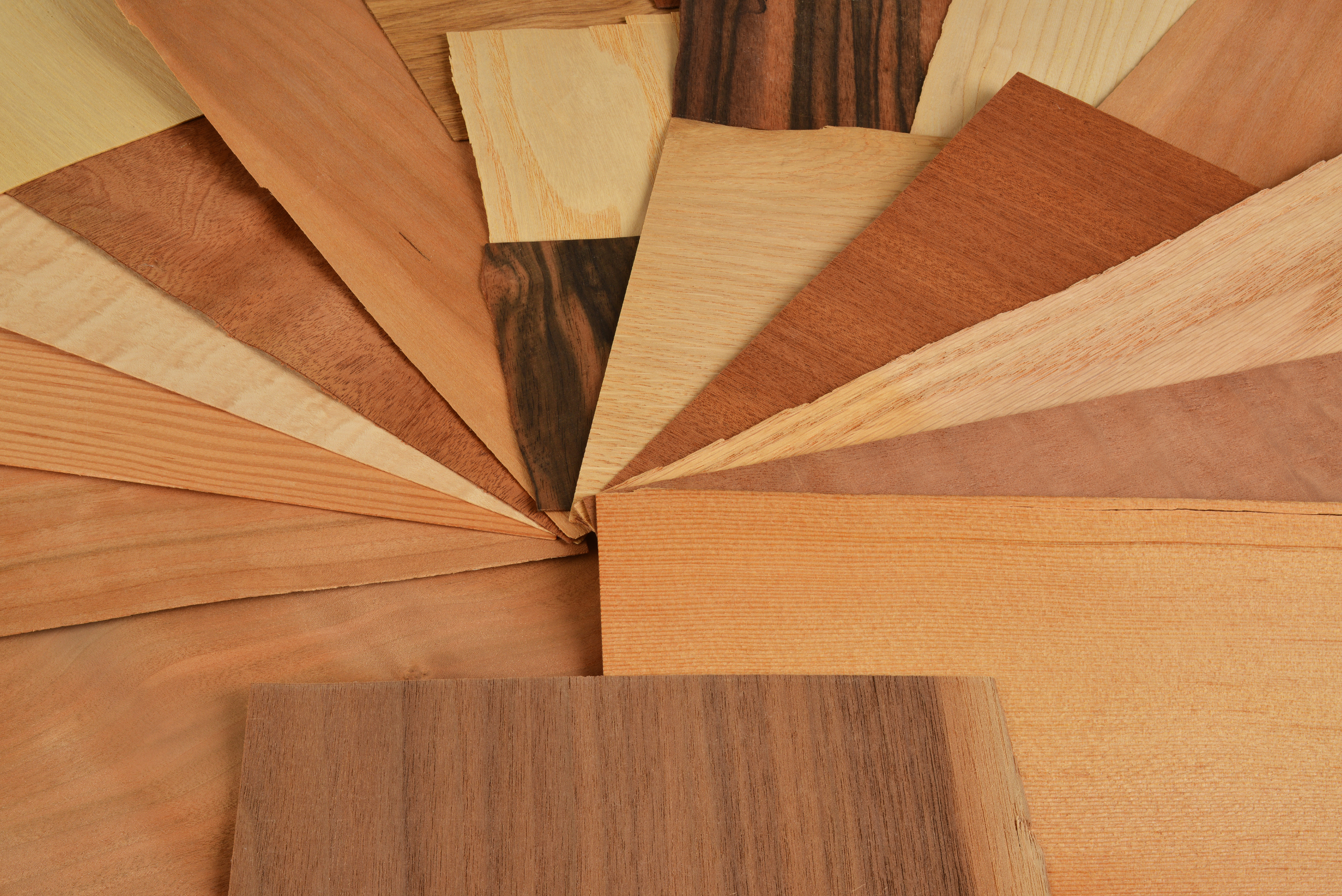 Selection of wood veneers.