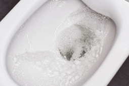 What to Do When Your Toilet Is Bubbling