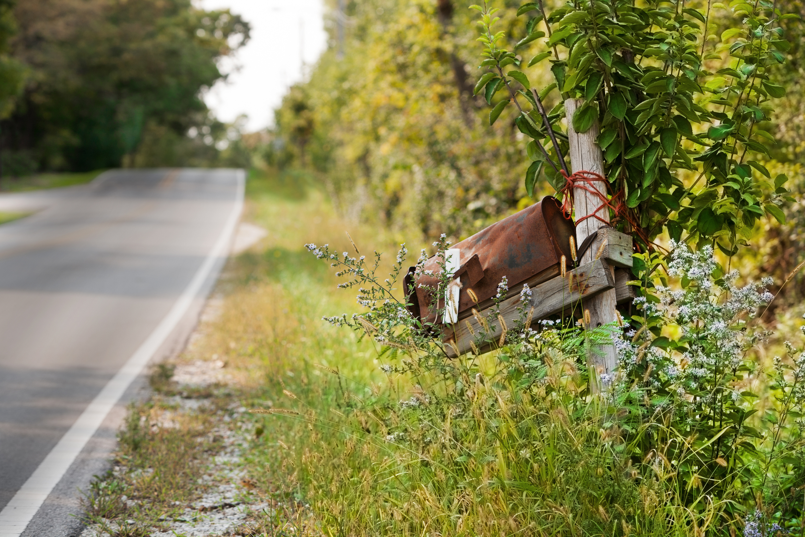 Worn out mailbox.