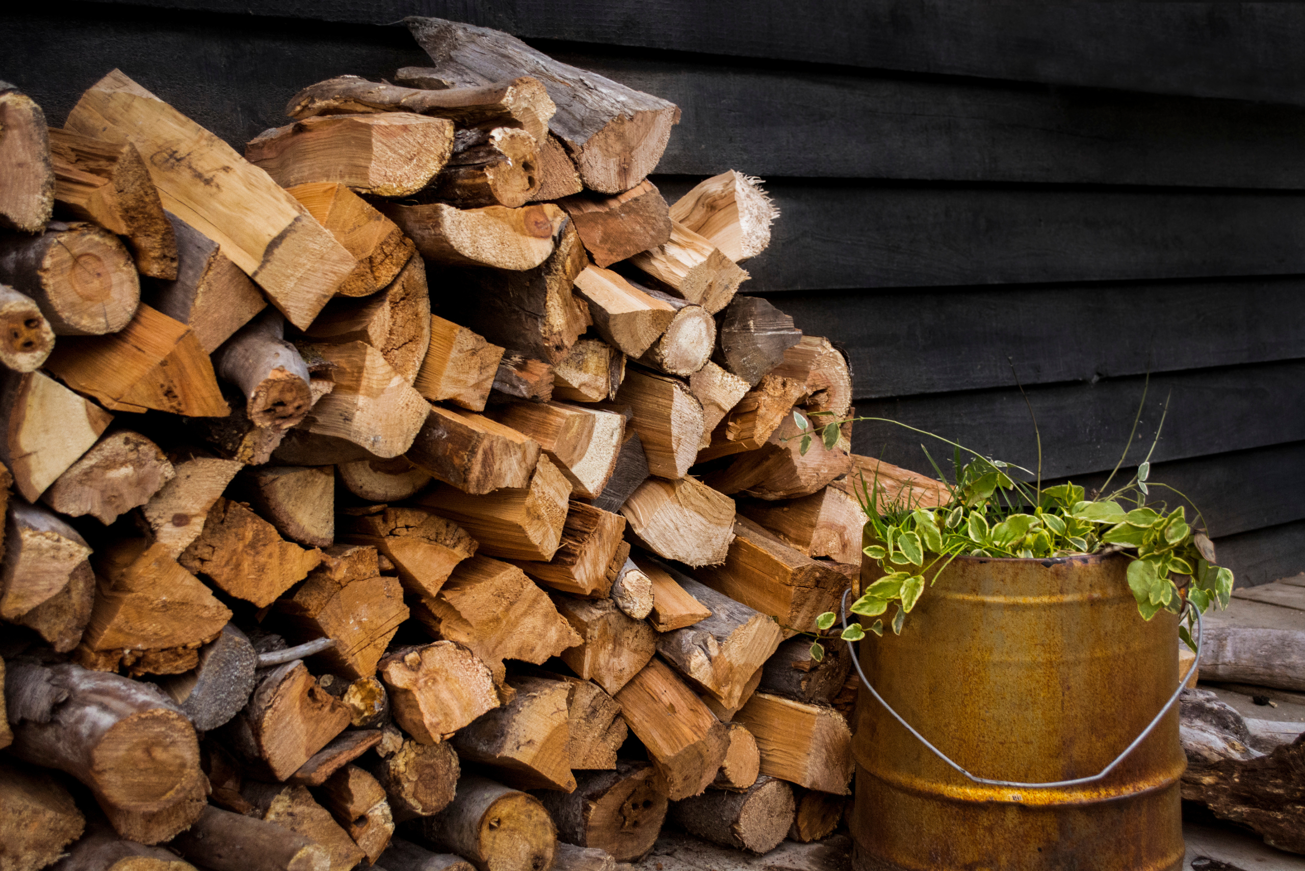 Stack of firewood.