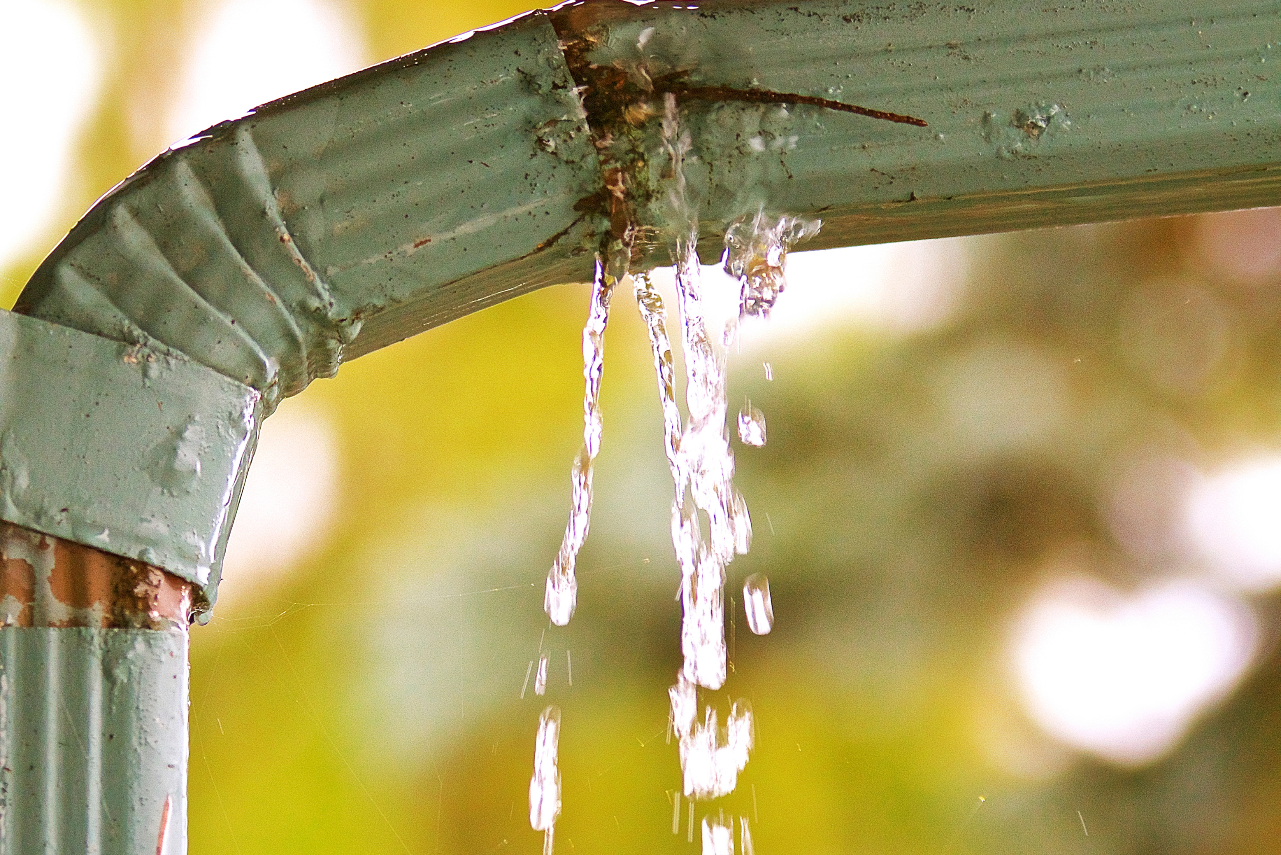 Old gutter leaking from the seams.