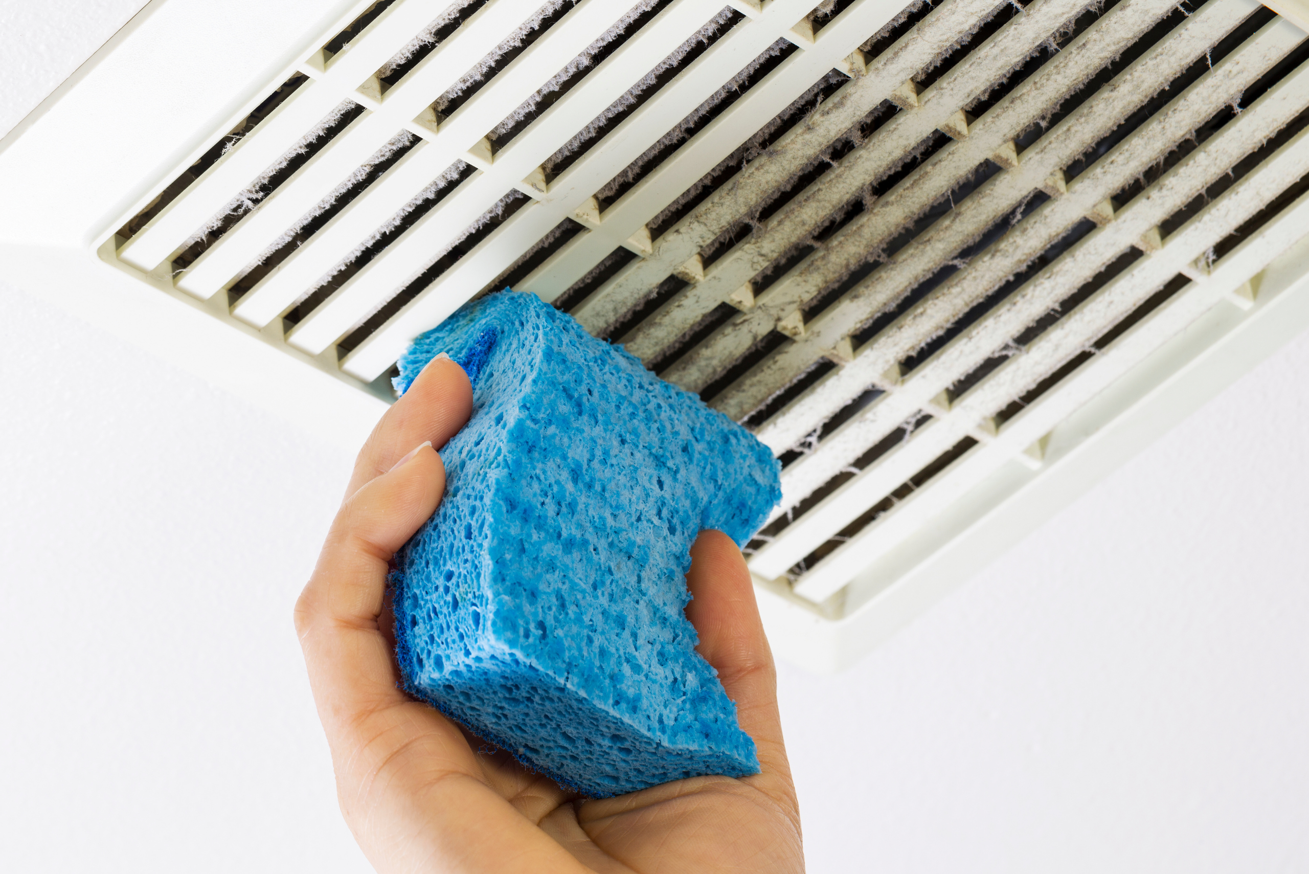 Cleaning dirty bathroom vent with blue sponge.