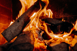 Tips for Choosing the Best Wood to Heat Your Home