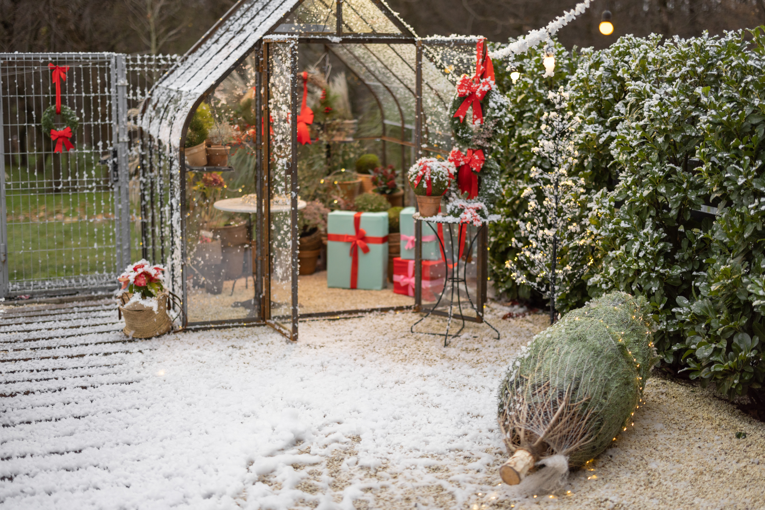 Outdoor green house with light snow on the deck.