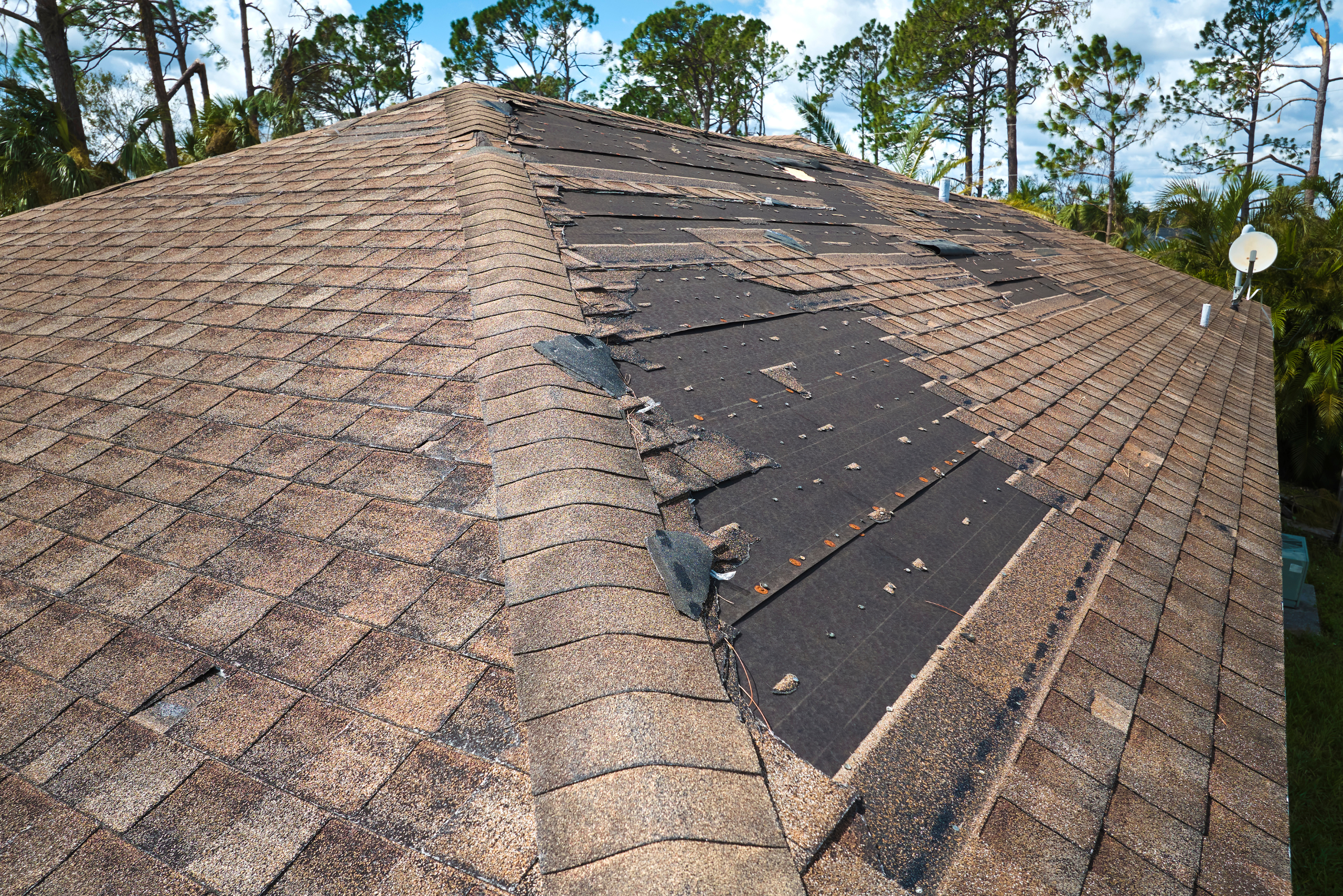 Roof with missing shingles.