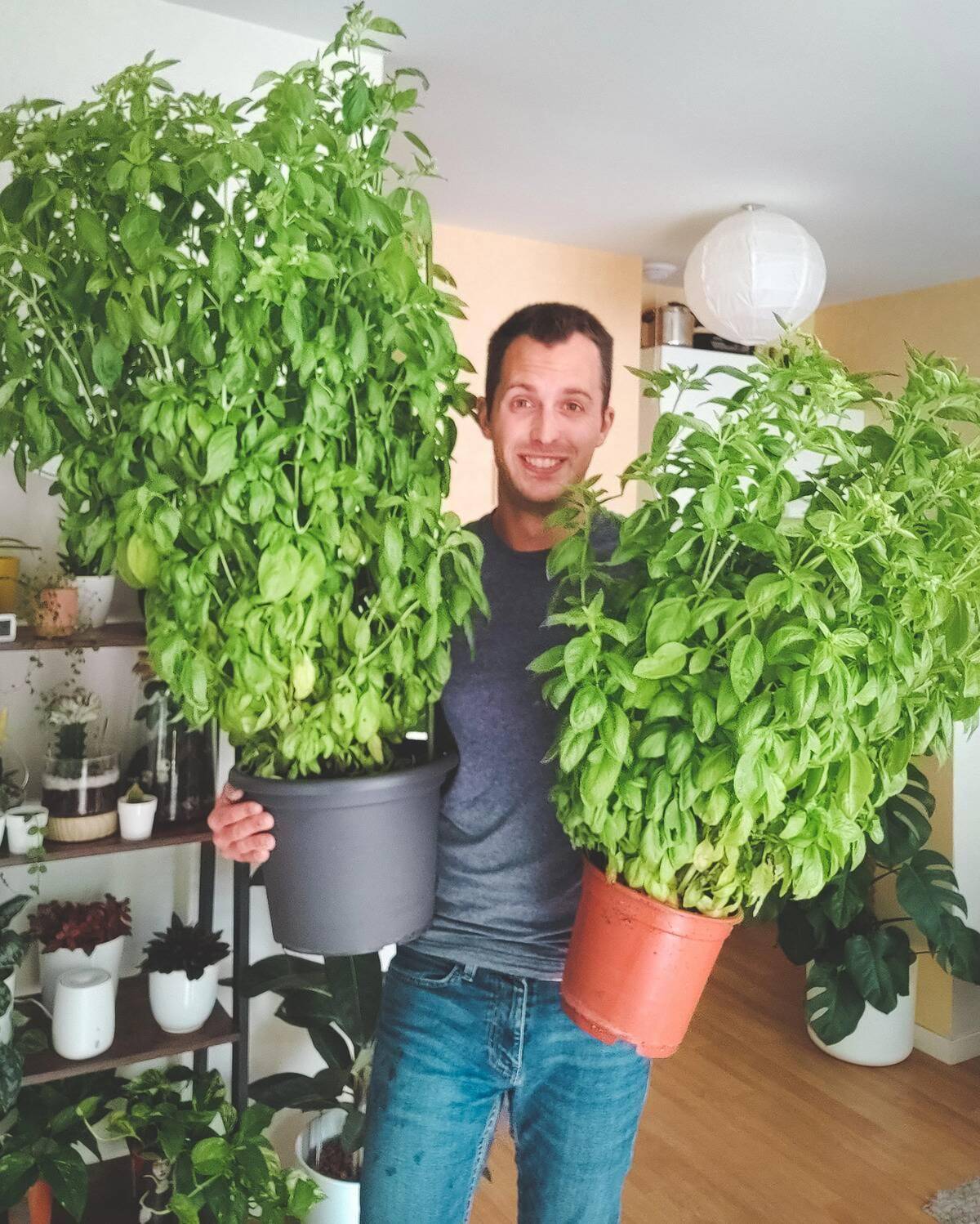 Man holding two plants.